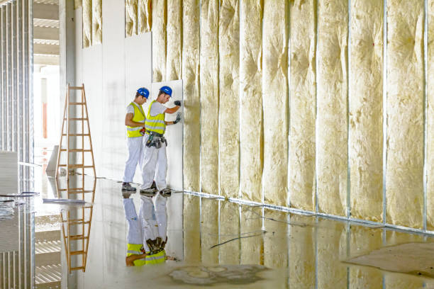 Best Blown-In Insulation  in Huntington Woods, MI